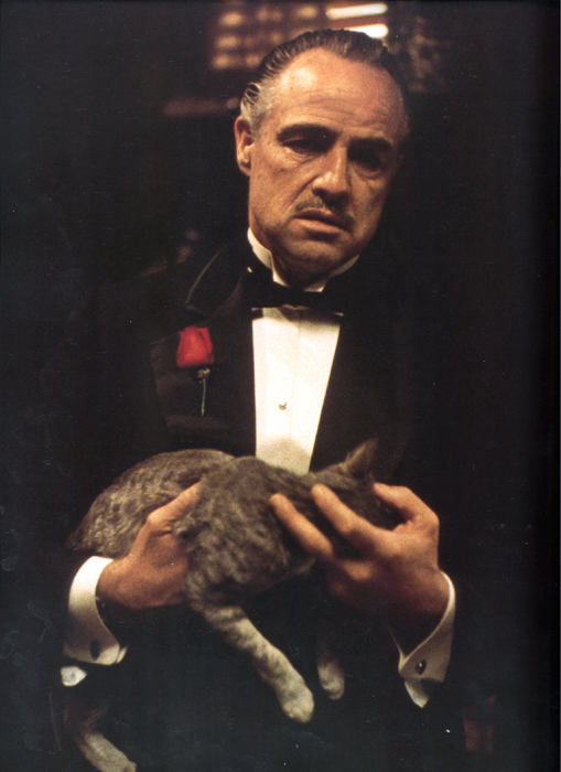 godfather