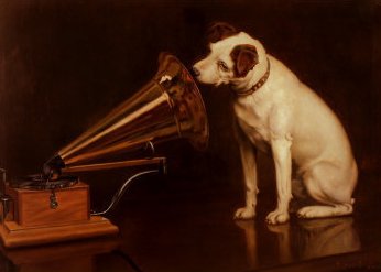 voice